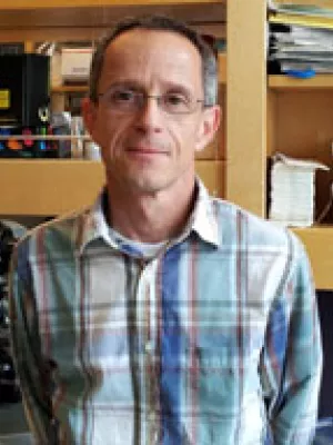 Csaba J Peto, Ph.D. Csaba J Peto, Ph.D.